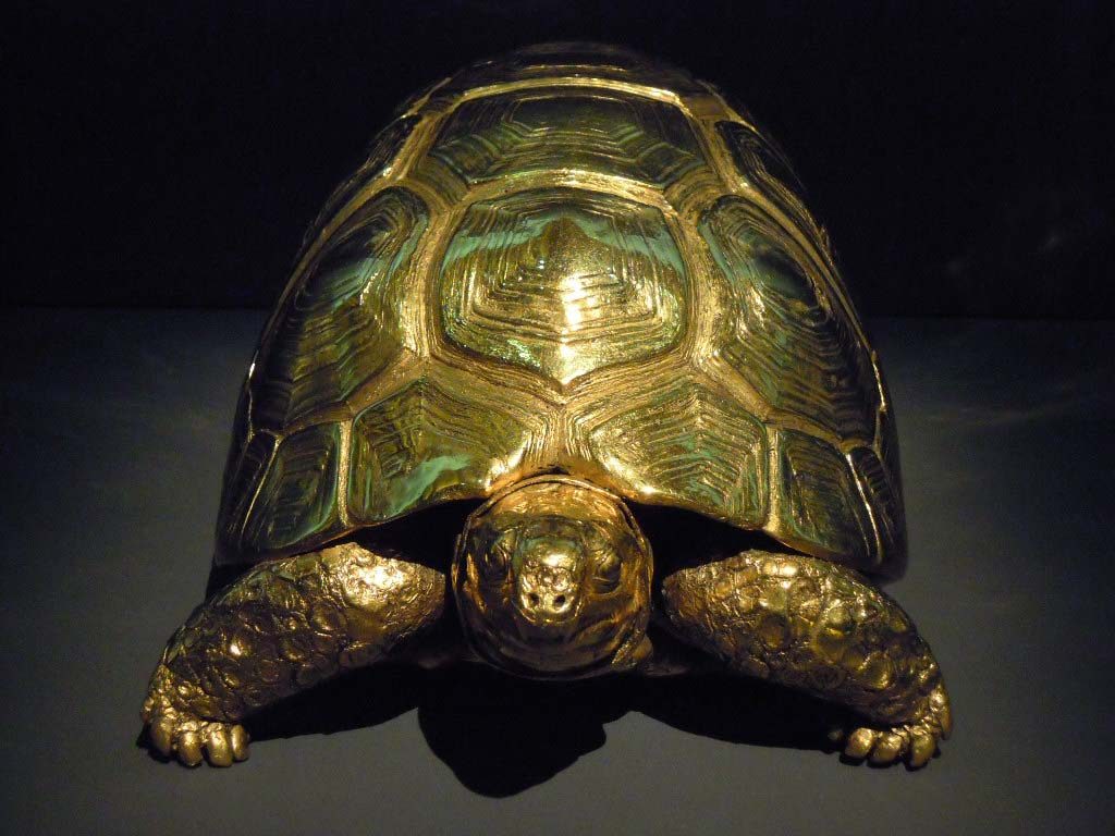  Damien-Hirst-gouden-schildpad-uit-scheepswrak-foto-Wilma-Lankhors