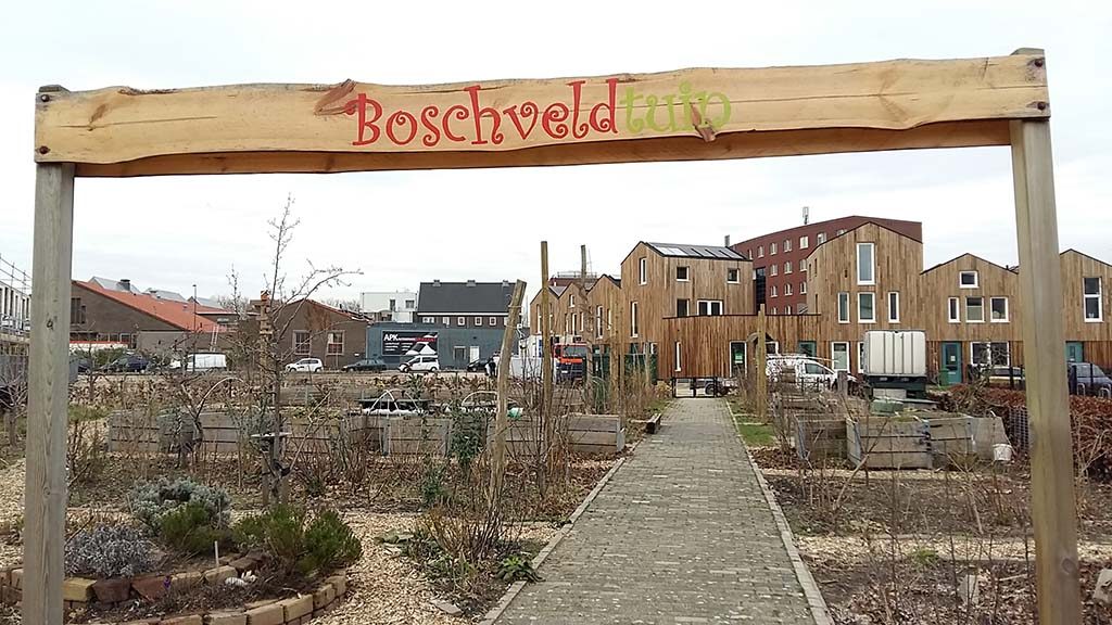 Den_Bosch_Street_art_noord_Het-nieuwe-Boschveld-1-foto-Wilma-Lankhorst