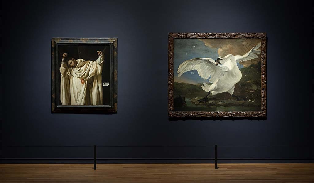 Rijksmuseum_Rembrandt_Velazquez_0020_Jan-Asselijn-foto-Olivier-Middendorp