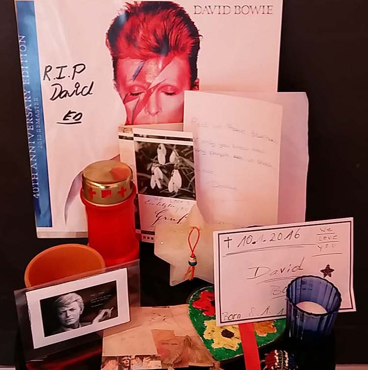 blog-Bowie-Eerbetoon-en-bloemen-in-Groninger-Museum