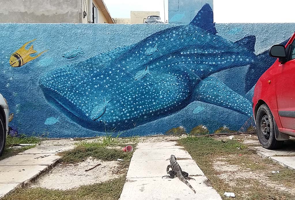 sla-Mujeres-street-art-manta-rays-foto-Wilma-Lankhorst