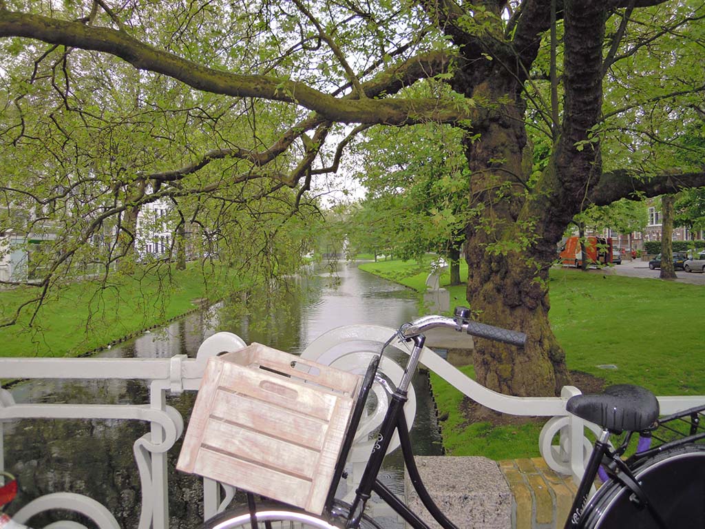Rotterdam-SiC-op-de-fiets-foto-Wilma-Lankhorst.
