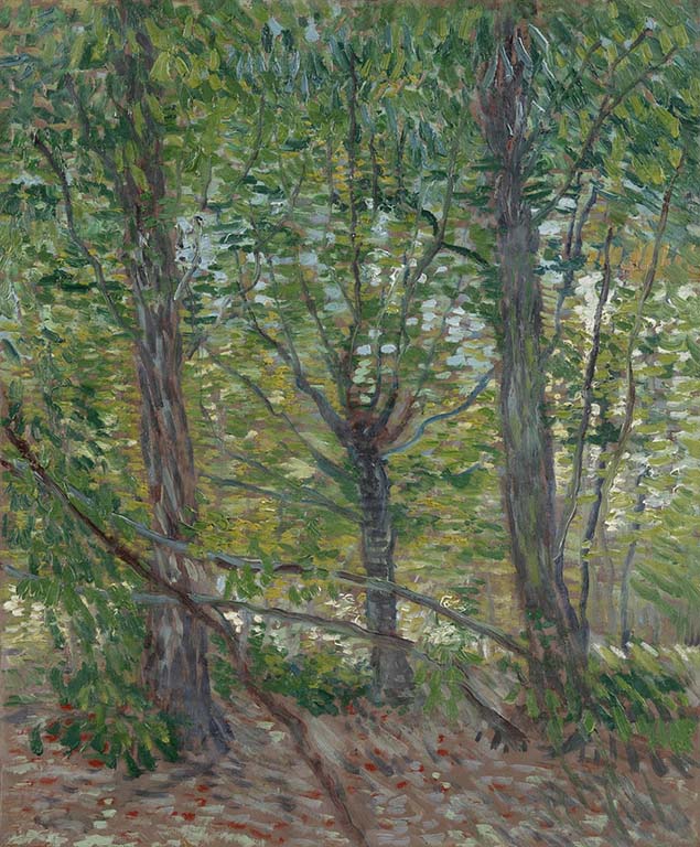 Van Gogh_Bomen-1887-Vincent-van-Gogh-Coll.-Vangoghmuseum.
