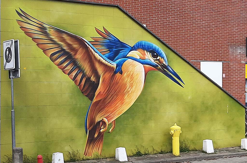 Street art Delft Wc_Dashof de ijsvogel © Dopie © foto Wilma_Lankhorst