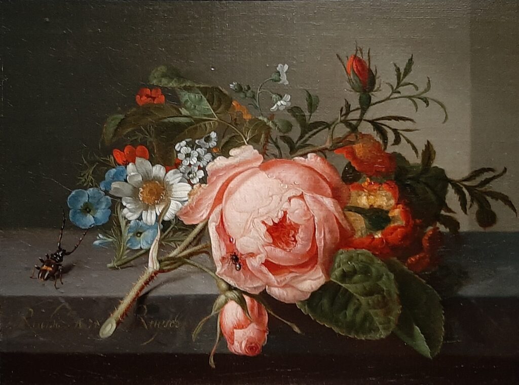 Bucerius Geniale vrouwen Stilleven met rozen (1741) © Rachel Ruysch © foto Wilma_Lankhorst