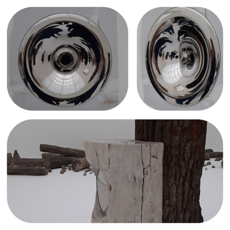 Alicja_Kwade Zaal 6 Versteende palmboomstammen (2013) © Alicja Kwade © foto's Wilma_Lankhorst.