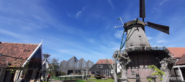 Kaap_Skil Impressie van het buitenmuseum met rechts molen de Traanroeier © foto Wilma_Lankhorst