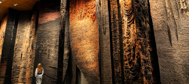 magdalena-abakanowicz-bois-le-duc-1970-1971-2-foto-rob-lipsius