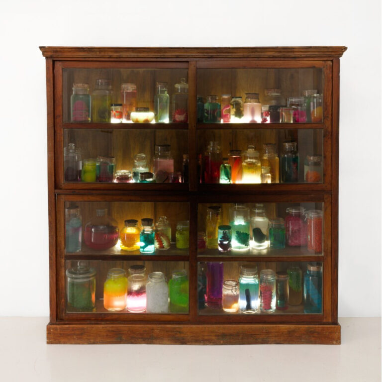 Drents Museum Sealife (2011) © Mark Dion © foto Marc-Dion