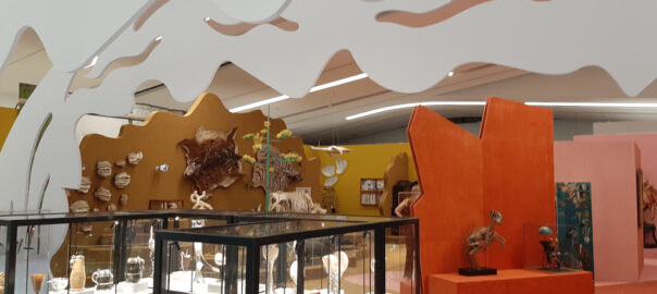 Drents_Museum header Microkosmos © foto Wilma_Lankhorst