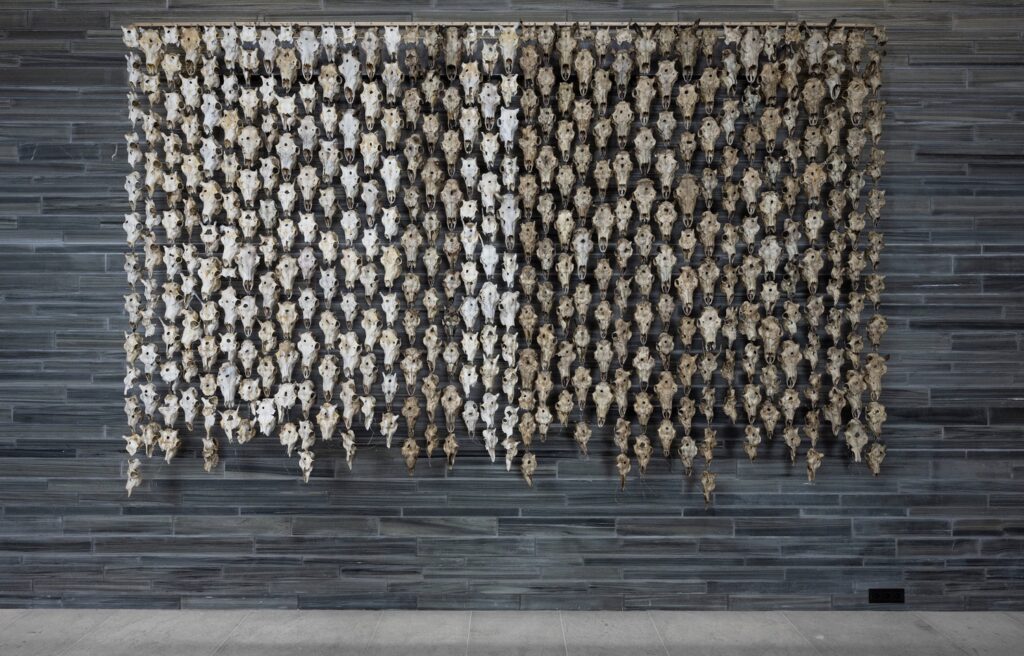 Oslo_Pile O'Sampi Supreme (2017)  @ Maret Anne Sara © foto Wilma_Lankhorst.jpg