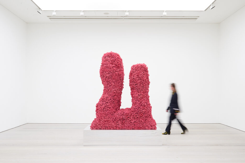 Louise_te_Poele Egg Intuition (2024) © Louise te Poele © Pasquale Viglione.