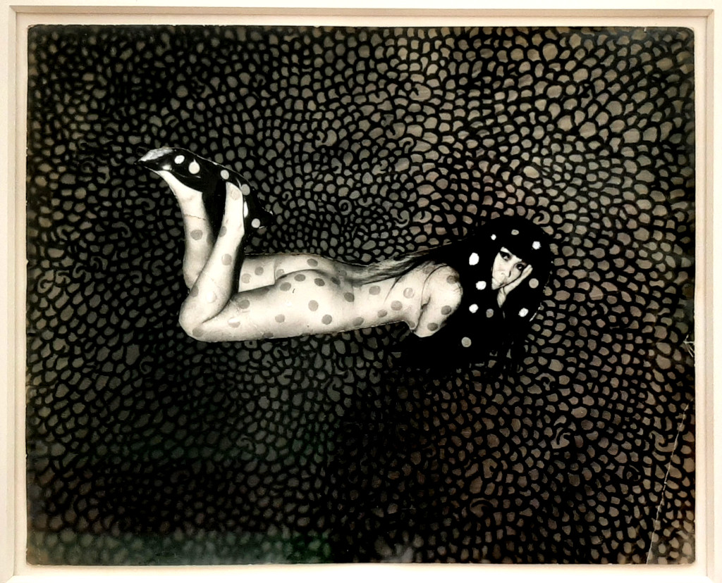 Yayoi_Kusama Net Obsessions Series (1966) © Yayoi Kusama © foto Hall Reif.