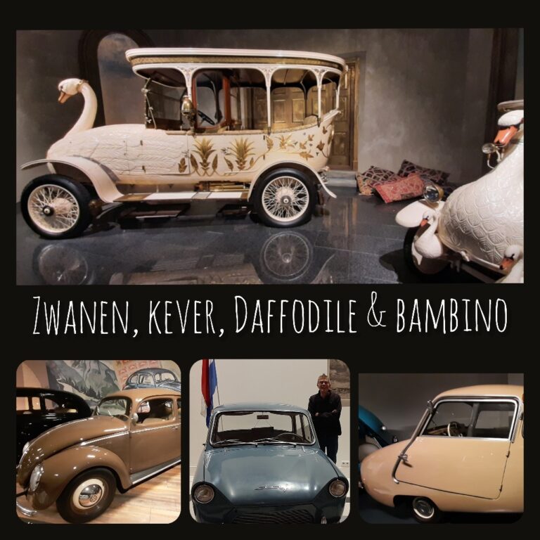 Louwman Autos met bijzondere namen © collage Wilma_Lankhorst.